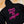 Hoodie Premium ROSE
